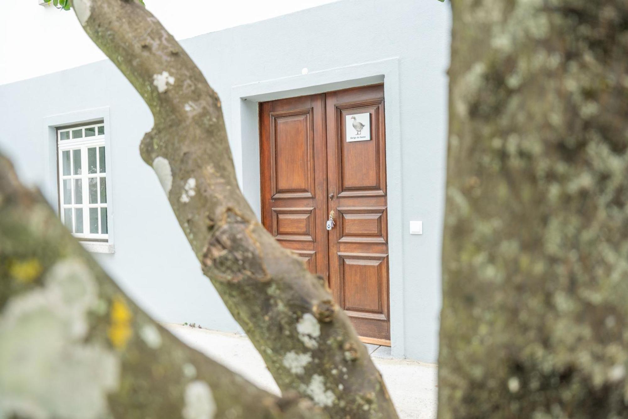 Casa De Cardigos Apartment ภายนอก รูปภาพ